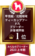 みんなのブリーダー ティーカッププードル部門 2023年上半期