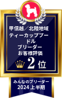 みんなのブリーダー ティーカッププードル部門 2024年上半期