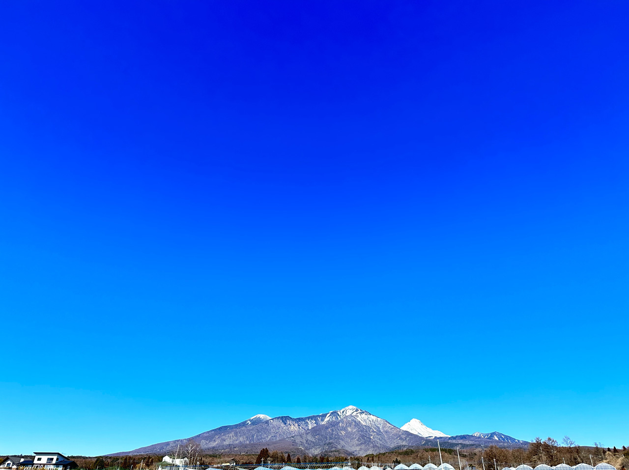 ちっちゃめトイプードル専門ブリーダー ステラパウズ|犬舎情報3