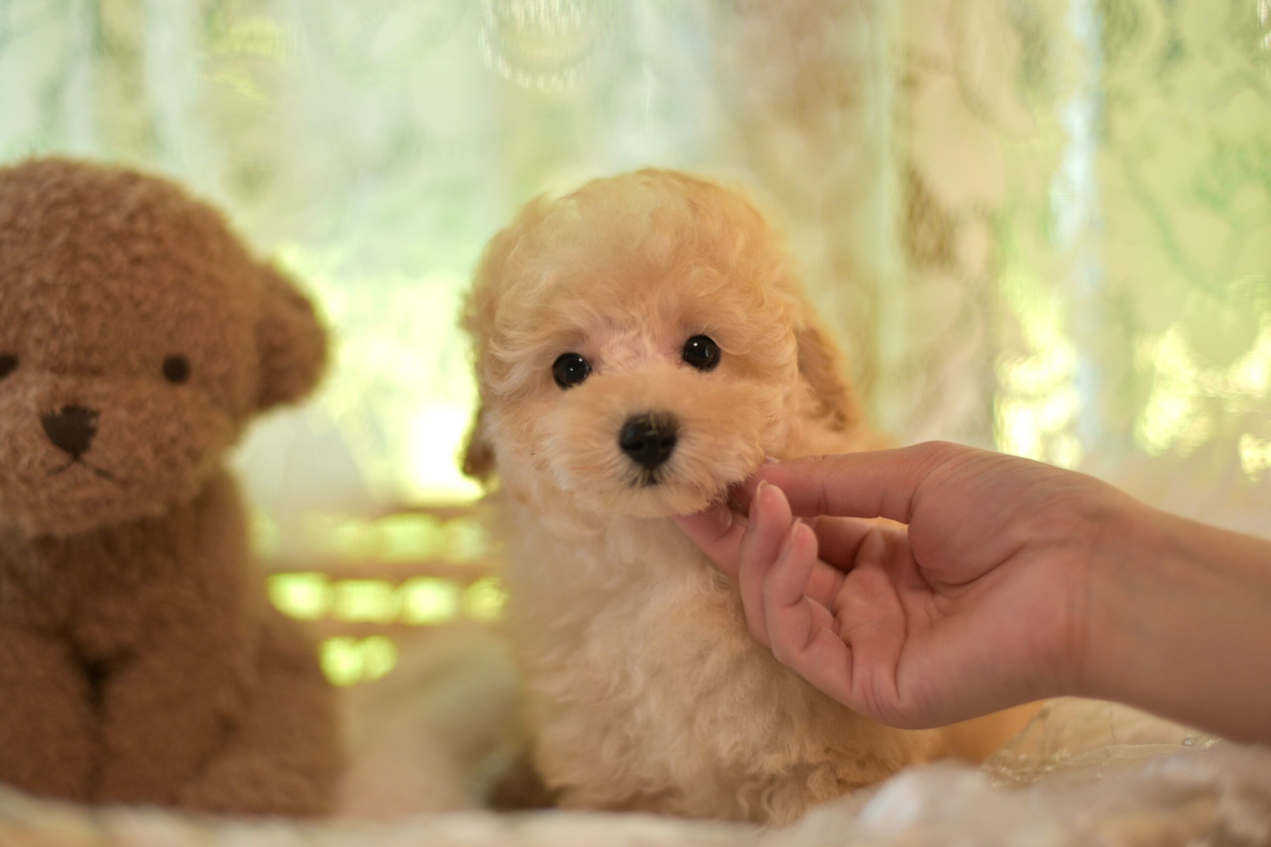 生後72日(7/24撮影)