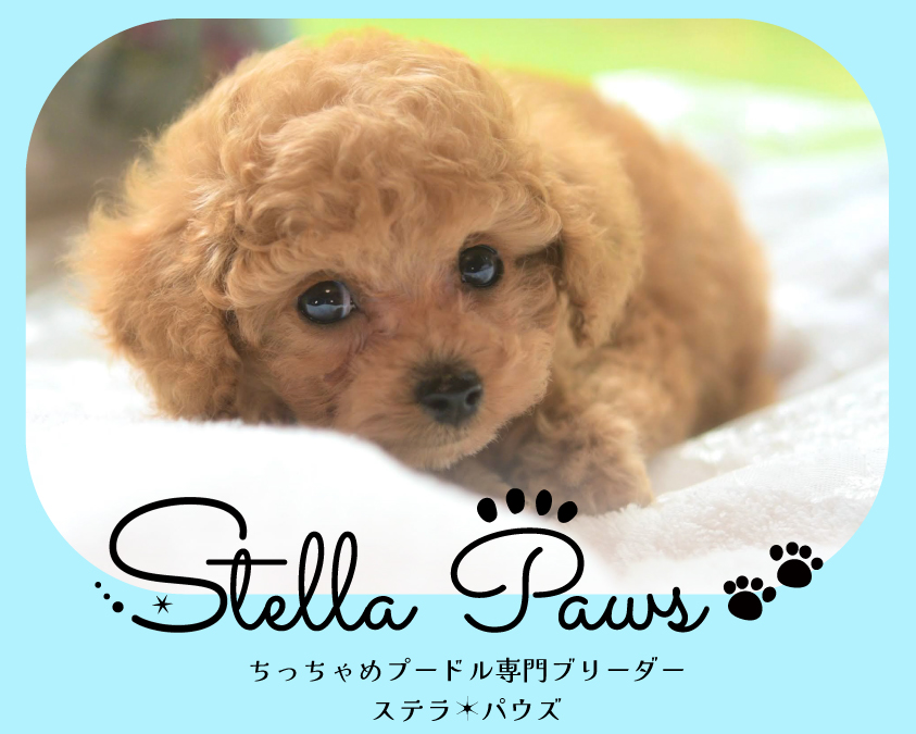 e234ad204ab339c8ff74084e98ad08